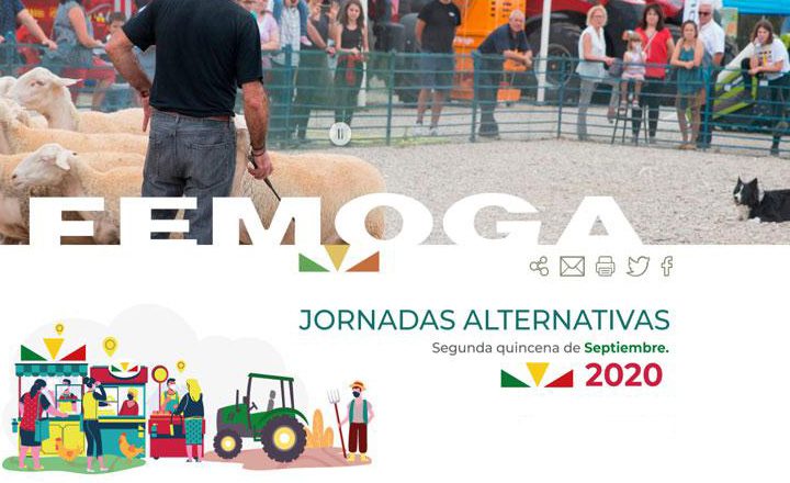 Jornadas Alternativas FEMOGA 2020