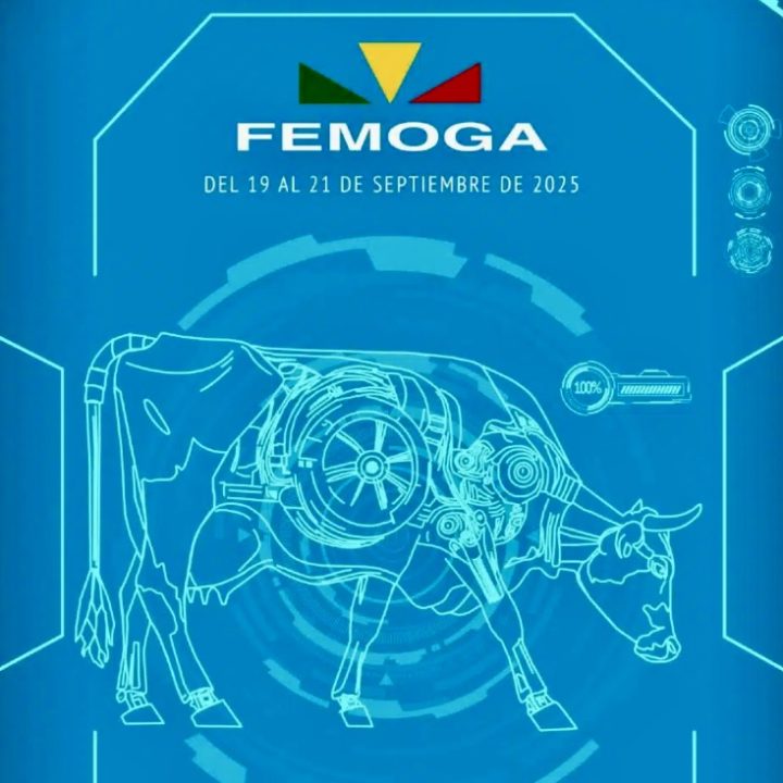 Presentado el programa de FEMOGA para el 19-21 de septiembre