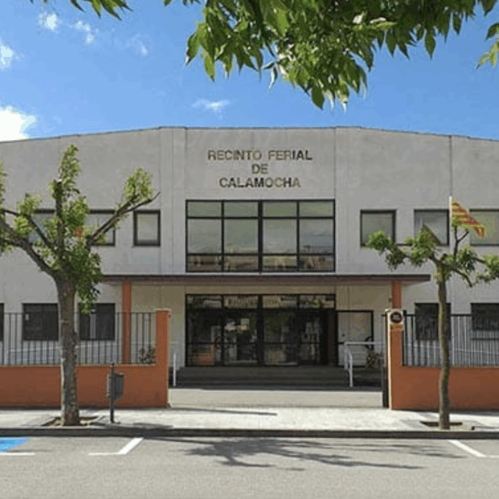 Calamocha abre plazo de inscripción para expositores en ANTIQUARIUS y EXPOCALAMOCHA